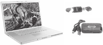 Moultrie - A-5 - At Home At Home