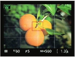 Nikon - D3300 - Figure 1-14 Framing grid Figure 1-14 Framing grid