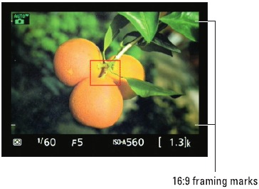 Nikon - D3300 - Figure 1-14 Hide Indicators Figure 1-14 Hide Indicators