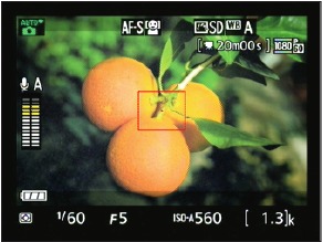 Nikon - D3300 - Figure 1-14 Show Movie Indicators Figure 1-14 Show Movie Indicators