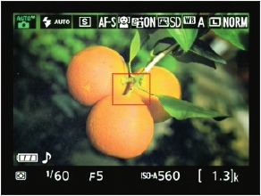 Nikon - D3300 - Figure 1-14 Show Photo Indicators Figure 1-14 Show Photo Indicators