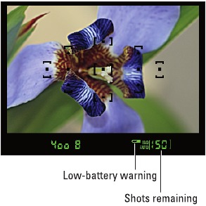 Nikon - D3300 - Figure 1-16 Figure 1-16