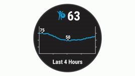 Garmin - FORERUNNER 45 - Viewing the Body Battery Widget Step 1 Viewing the Body Battery Widget Step 1