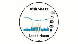 Garmin - FORERUNNER 45 - Viewing the Body Battery Widget Step 2 Viewing the Body Battery Widget Step 2