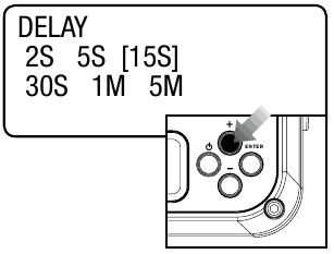 Wildgame Innovations - Shadow - Delay Step 2 Delay Step 2