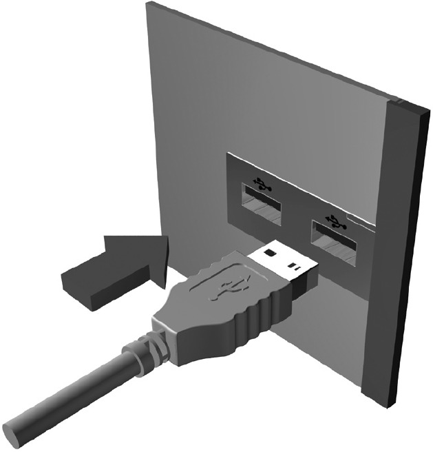 Logitech - Webcam C250 - Webcam connection Webcam connection