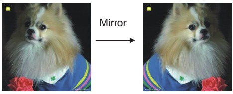 DIGITNOW - M122A - Capture: Mirror/Flip(Hard Key) - Step 1 Capture: Mirror/Flip(Hard Key) - Step 1