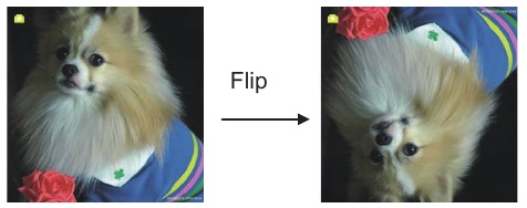 DIGITNOW - M122A - Capture: Mirror/Flip(Hard Key) - Step 2 Capture: Mirror/Flip(Hard Key) - Step 2