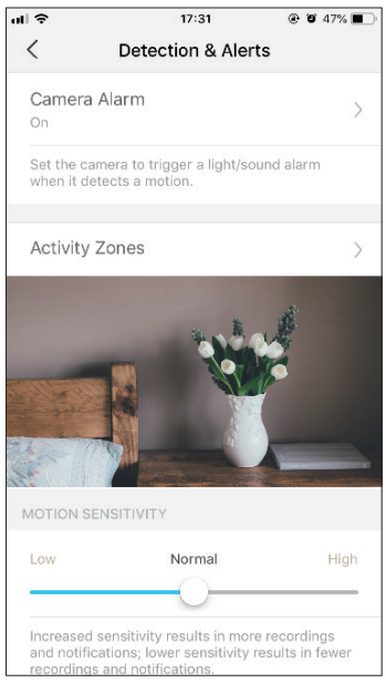 TP-Link - Tapo C110 - Motion Detection - Step 2 Motion Detection - Step 2