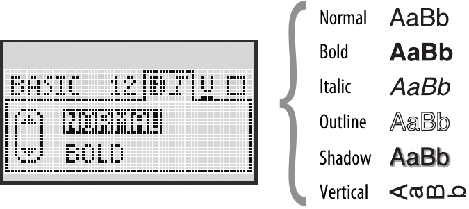 Dymo - LabelManager 260P - Font Styles Font Styles