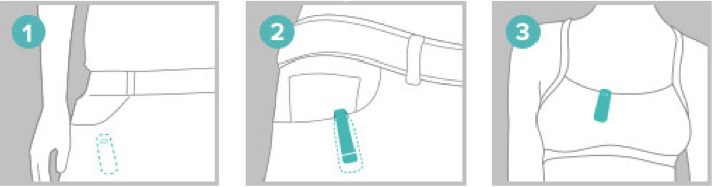 Fitbit - One - Placement Placement