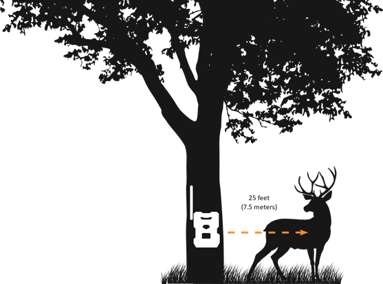 SPYPOINT - FLEX - INSTALLING YOUR CAMERA INSTALLING YOUR CAMERA