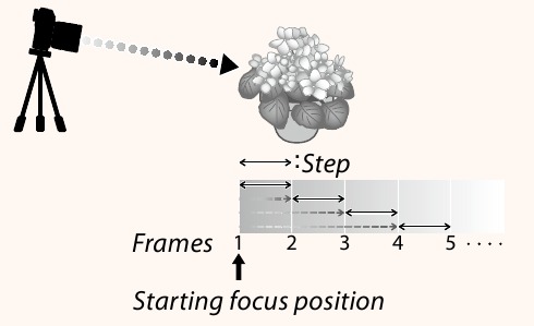 FujiFilm - GFX 100 - Focus and FRAMES/STEP Focus and FRAMES/STEP