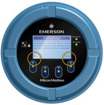 Emerson - Micro Motion 5700 - Using the display controls - Step 2 Using the display controls - Step 2