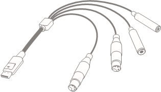 Focusrite - Forte - Connecting your Forte - Input Loom Connecting your Forte - Input Loom