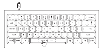 Keychron - Q4 Pro - Quick Start Guide - Step 10 Quick Start Guide - Step 10