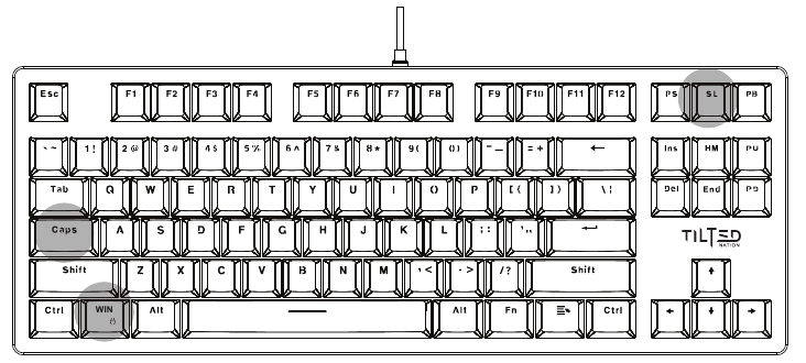 Tilted Nation TNLucid 87 Key RGB TKL Keyboard Manual ManualsLib