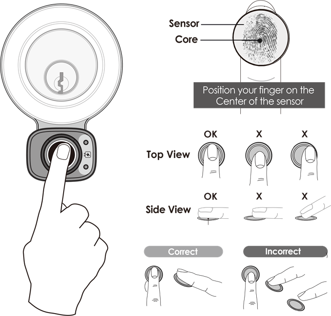 Lockly - ACCESS TOUCH - Fingerprint Scanning Directions Fingerprint Scanning Directions