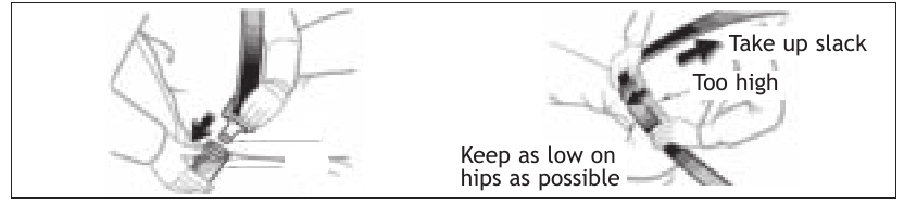 Toyota - TUNDRA 2011 - SAFETY AND EMERGENCY FEATURES - Seat belts SAFETY AND EMERGENCY FEATURES - Seat belts