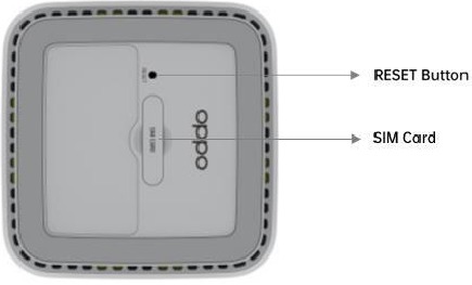Oppo - 5G CPE T1a - Buttons and Interfaces - Bottom View Buttons and Interfaces - Bottom View