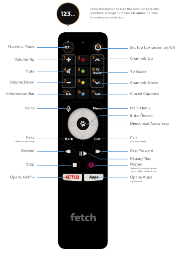 Fetch - MINI - The Remote Control The Remote Control