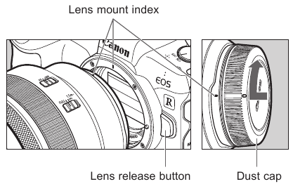Canon - RF 600mm F11 IS STM - Attaching and Detaching the Lens Attaching and Detaching the Lens