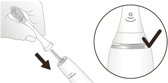 Philips - DiamondClean 9000 - Using - Brushing instructions - Step 1 Using - Brushing instructions - Step 1