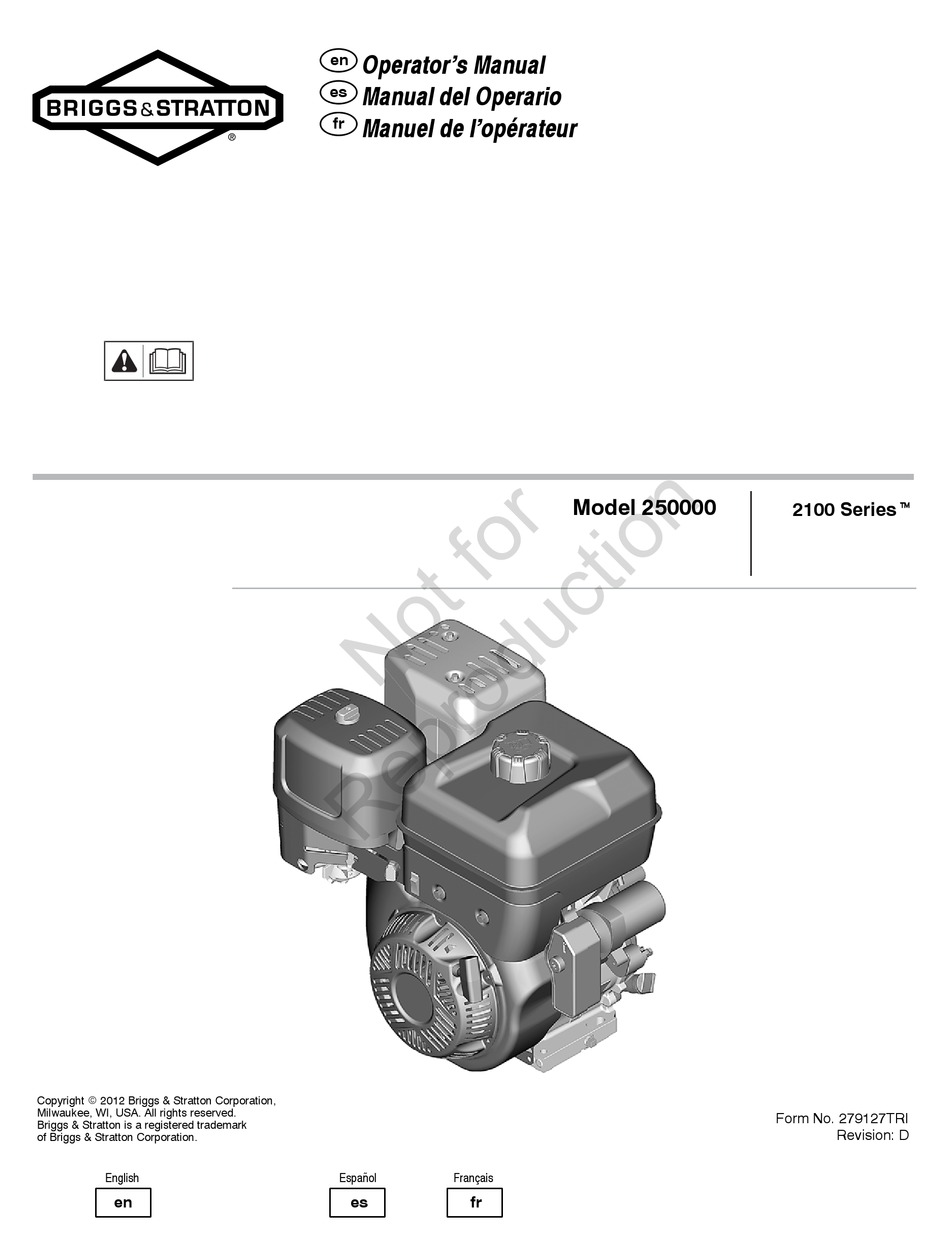 BRIGGS & STRATTON 250000 OPERATOR'S MANUAL Pdf Download | ManualsLib