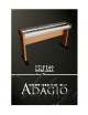 Adagio PDP100 User Manual