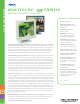 NEC NEC MultiSync LCD1920NX  LCD1920NX LCD1920NX Specifications