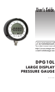 Omega Engineering DPG10L User Manual