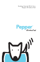 Pepper Computer Wireless Pad Getting Started