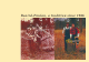 Poulan Pro 3400 Brochure