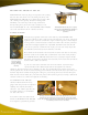 Powermatic PM3000 Brochure