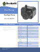 Beckett Pool/Spa Pump G150APCP Specification Sheet