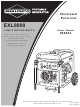 Briggs & Stratton 30254 Illustrated Parts List