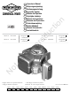 Briggs & Stratton VANGUARD 290000 Operator's Manual