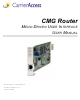 Carrier Access CMG Router User Manual