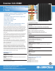 Crestron 2 Channel Dimmer Module CLX-2DIM2 Specification Sheet