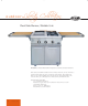 DCS BFG-30BGD Brochure & Specs