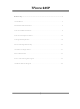 Biostar TForce 945P Bios Setup Manual
