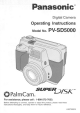 Panasonic PalmCam PV-SD5000 User Manual