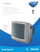 Philips 19PS35S Specification Sheet