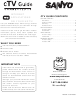 Sanyo DP55360 - 55
