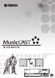 Yamaha MCX 1000 - MusicCAST - Digital Audio Server Manual