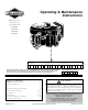 Briggs & Stratton 290000 Operating & Maintenance Instructions