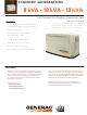Generac Power Systems 005914-0 Overview