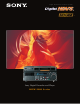 Sony HDW2000/20 Brochure