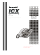 PANASONIC ICX User Manual