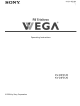Sony FD Trinitron WEGA KV-24FS120 Operating Instructions Manual
